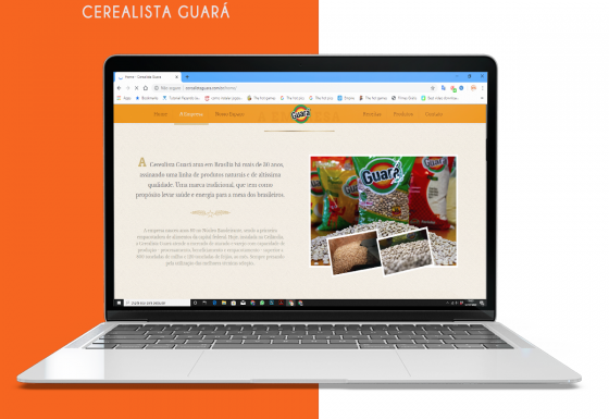 Desenvolvimento de Web Site – Cerealista Guará